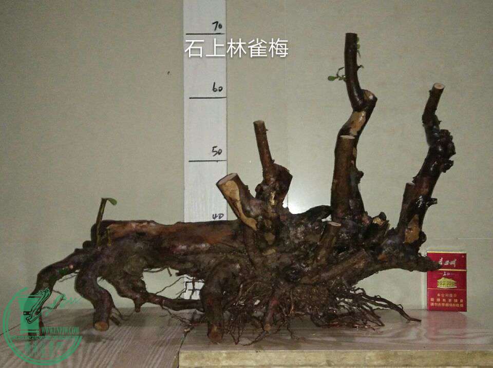 QQͼƬ20170208213020.jpg