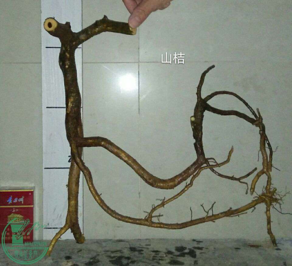 QQͼƬ20170208213032.jpg