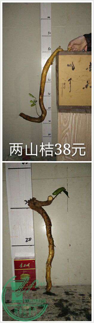 QQͼƬ20170208214116.jpg