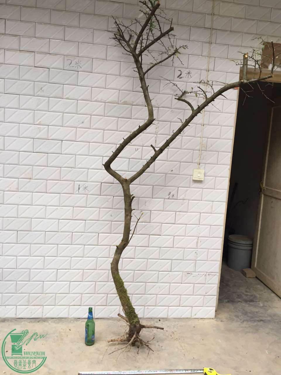 27.jpg