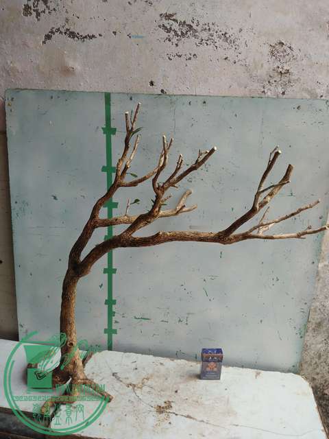 IMG20170210120837.jpg