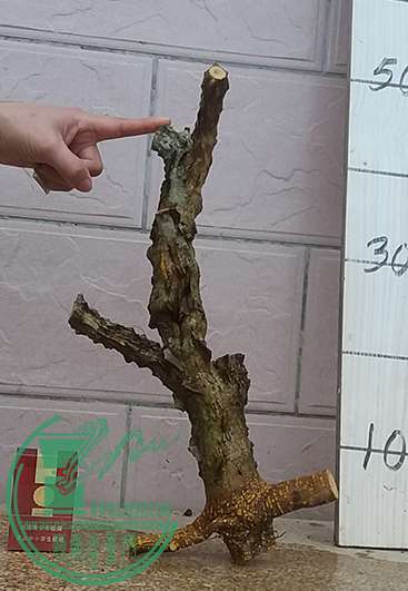 20170210_174214_mh1486727296632.jpg