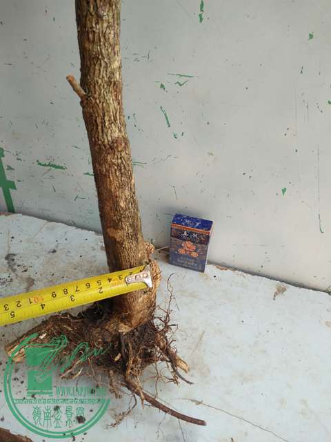 IMG20170211140132.jpg