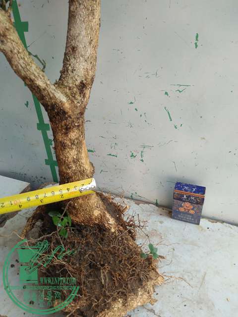 IMG20170211140205.jpg