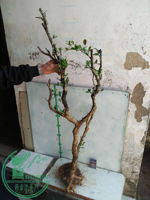 IMG20170211140214.jpg