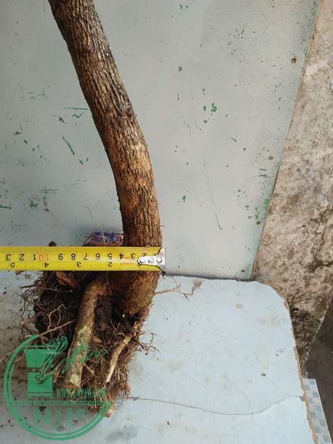 IMG20170211140247.jpg