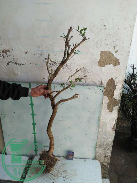 IMG20170211140301.jpg