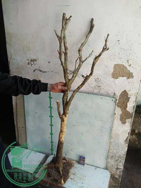 IMG20170211140423.jpg