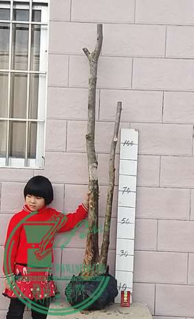 20170212_174516_mh1486896312835.jpg
