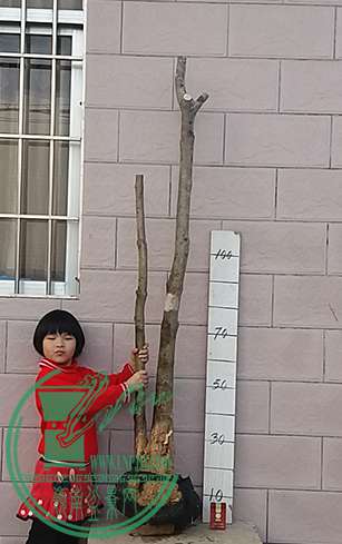 20170212_174635_mh1486896380380.jpg