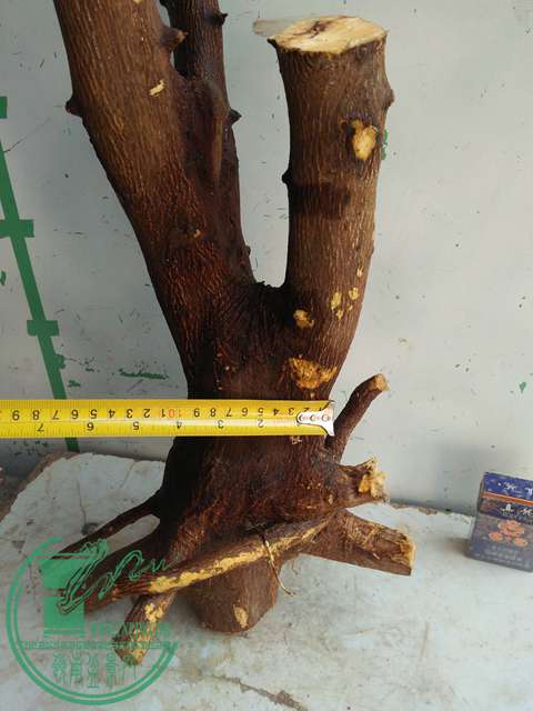 IMG20170212133614.jpg