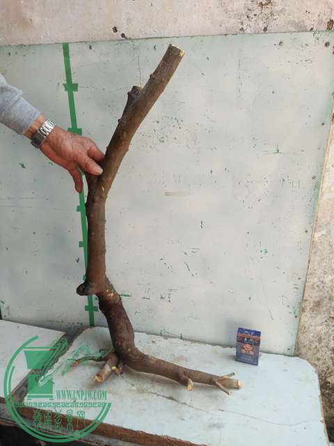 IMG20170212133629.jpg