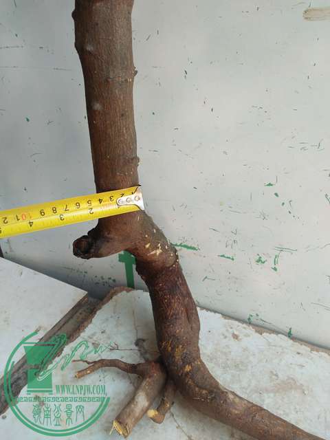 IMG20170212133633.jpg
