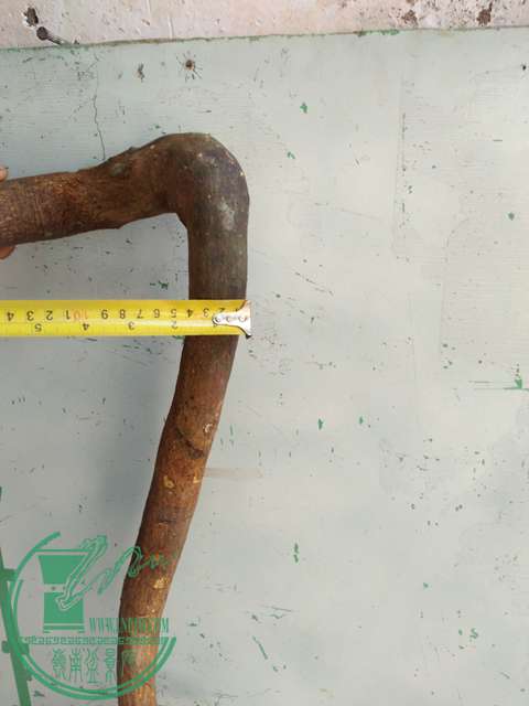 IMG20170212133731.jpg