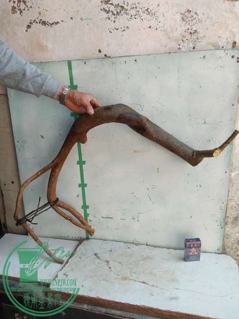 IMG20170212133752.jpg