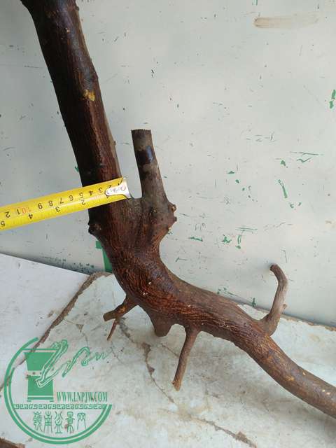 IMG20170212133821.jpg
