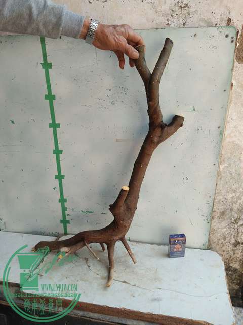 IMG20170212133826.jpg
