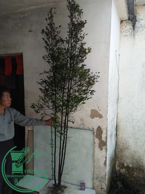 IMG20170212134239.jpg
