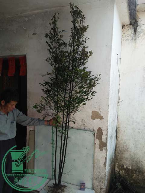 IMG20170212134243.jpg