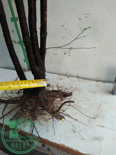 IMG20170212134253.jpg