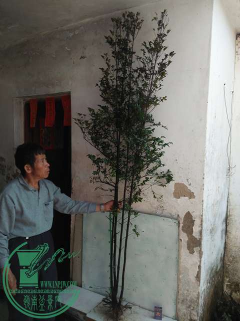 IMG20170212134304.jpg