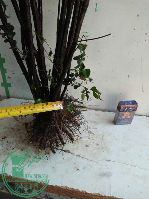 IMG20170212134326.jpg