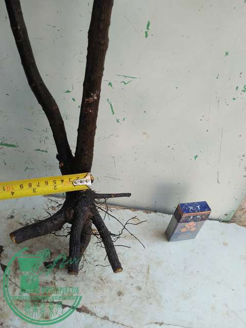 IMG20170212134353.jpg