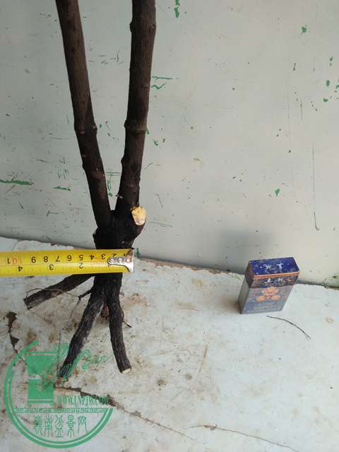 IMG20170212134417.jpg