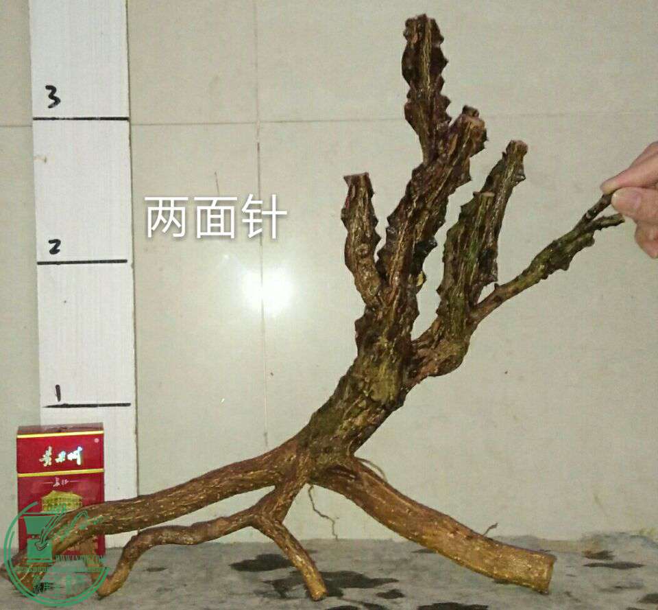 QQͼƬ20170213203714.jpg