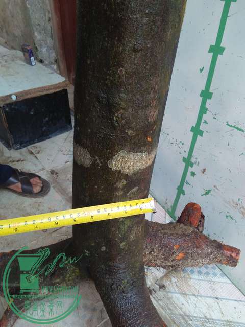 IMG20170213120649.jpg