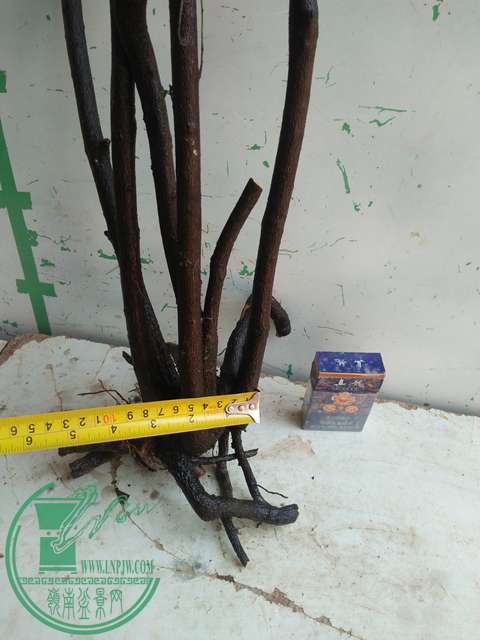 IMG20170213120401.jpg