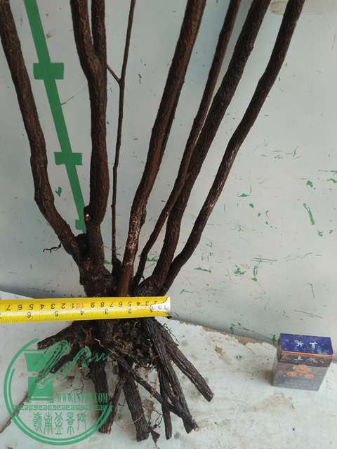 IMG20170213120423.jpg
