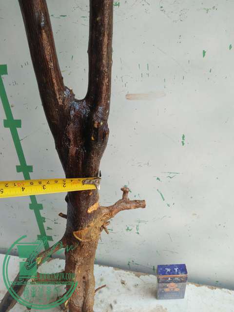 IMG20170213121159.jpg