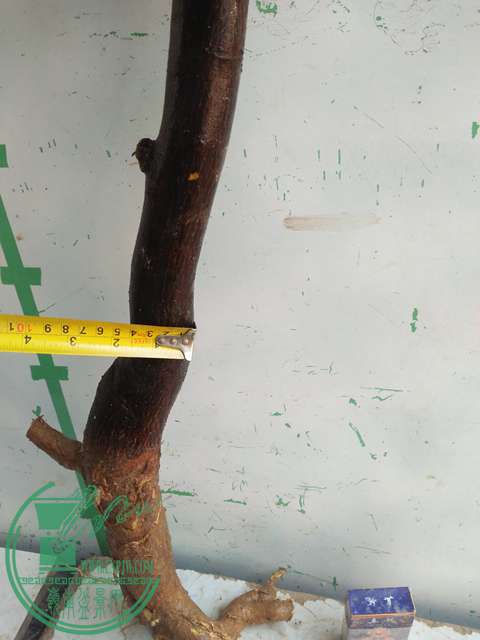 IMG20170213121243.jpg