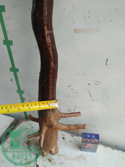 IMG20170213121310.jpg