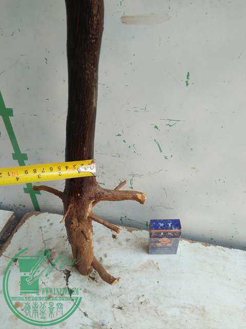 IMG20170213121350.jpg