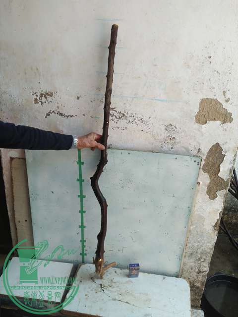 IMG20170213121420.jpg
