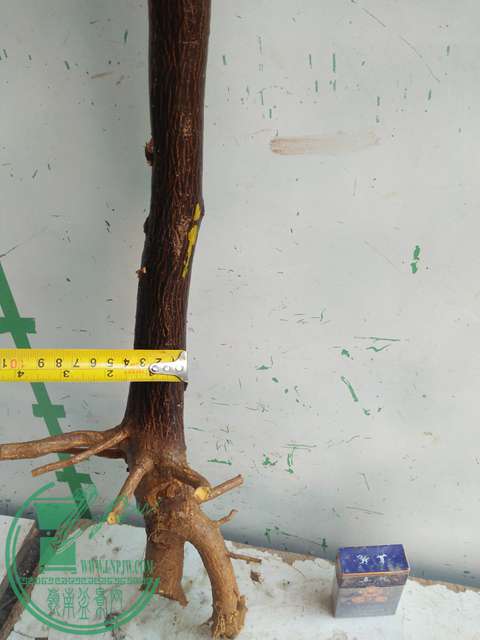 IMG20170213121435.jpg