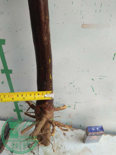IMG20170213121456.jpg
