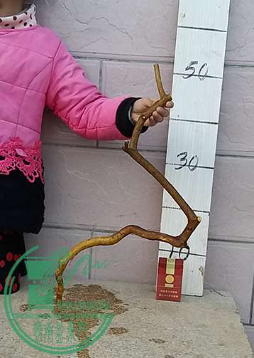 20170213_180516_mh1486986997059.jpg