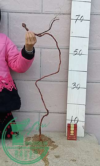 20170213_180557_mh1486987027623.jpg