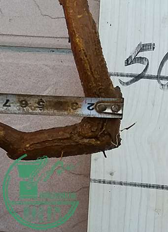 20170213_180331_mh1486986901235.jpg