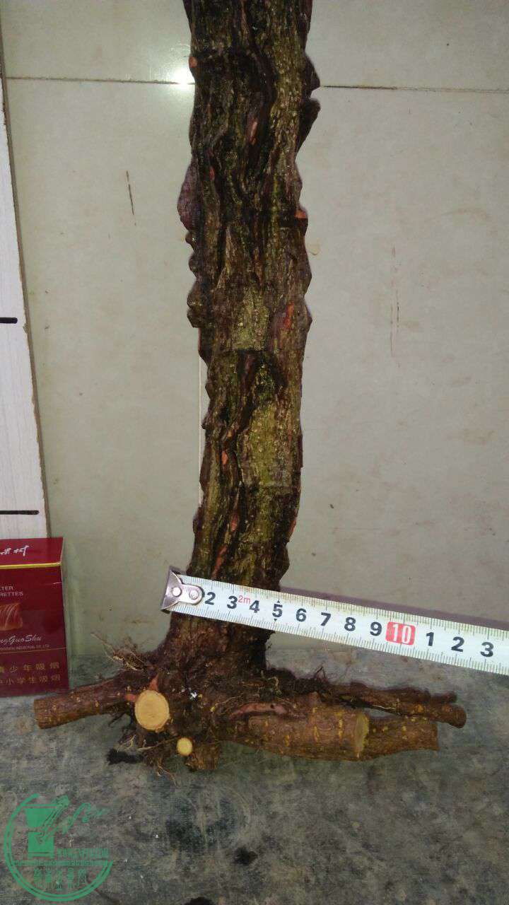 QQͼƬ20170214191639.jpg