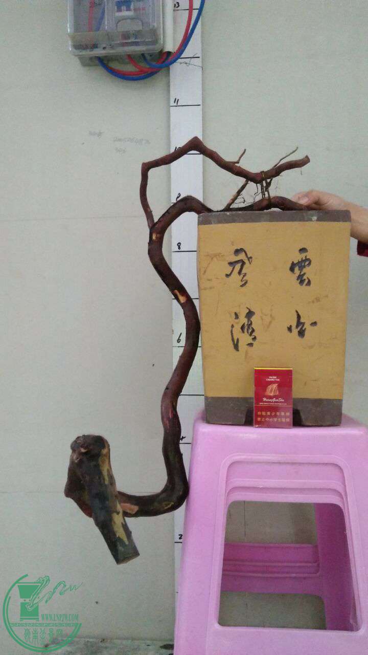 QQͼƬ20170214191616.jpg