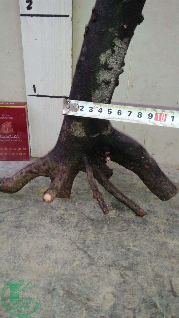 QQͼƬ20170214191651.jpg