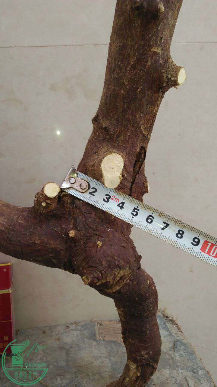 QQͼƬ20170214191754.jpg
