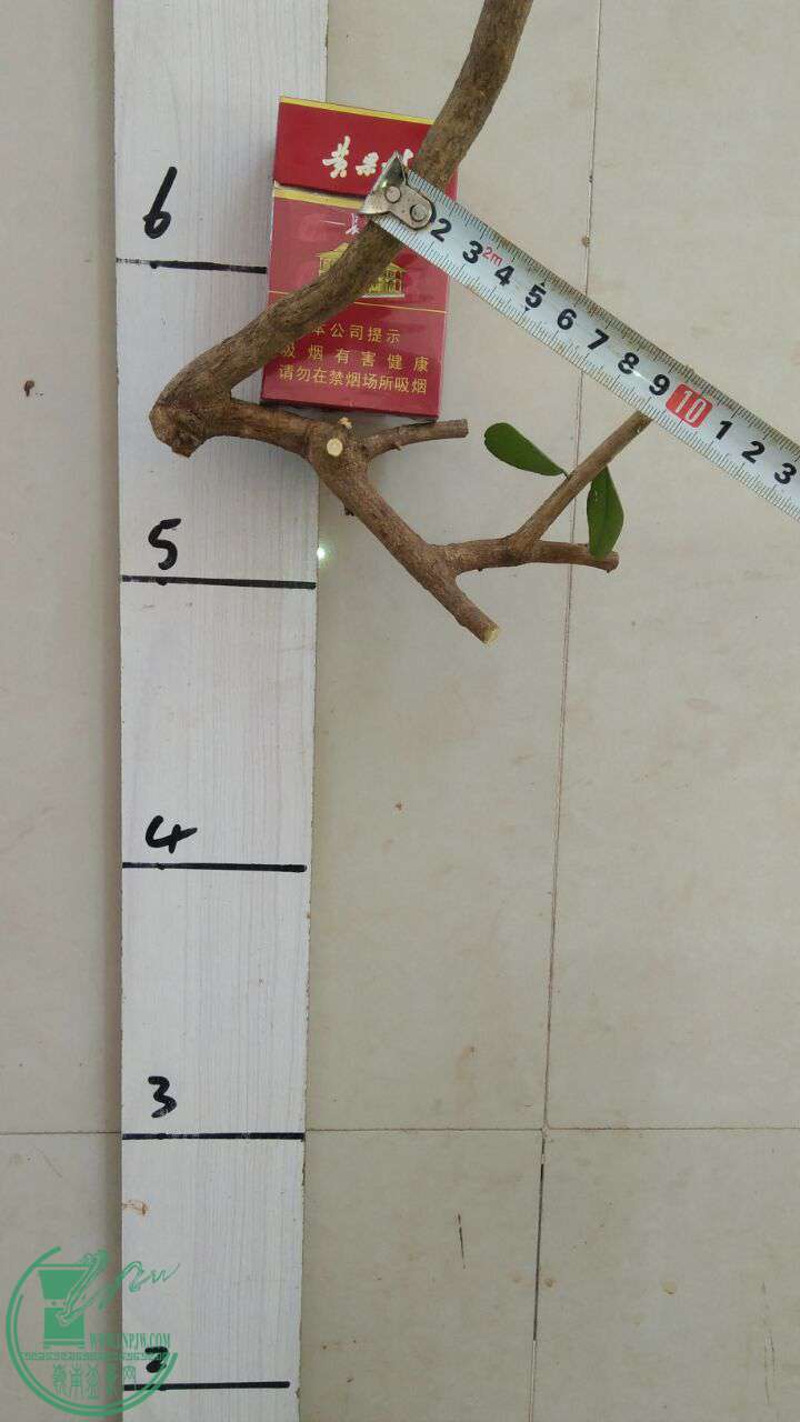 QQͼƬ20170214191934.jpg