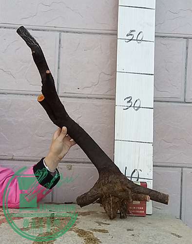 20170214_181437_mh1487070758284.jpg