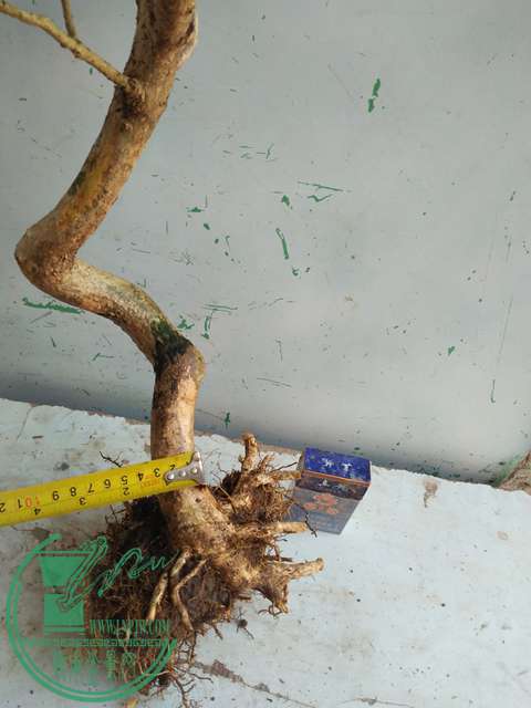 IMG20170214103238.jpg