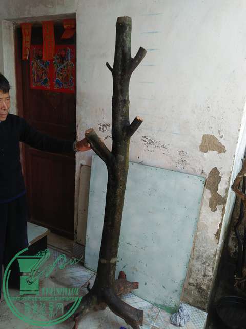 IMG20170213120634.jpg